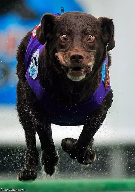 Running So Fast