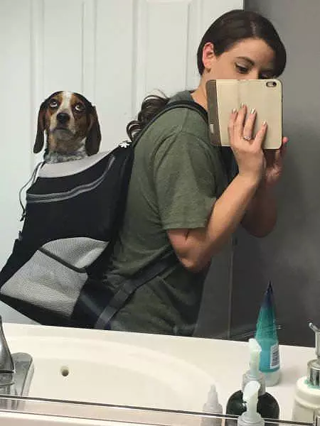 Carry Me Everywhere