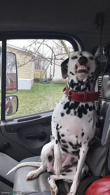 Big Smile