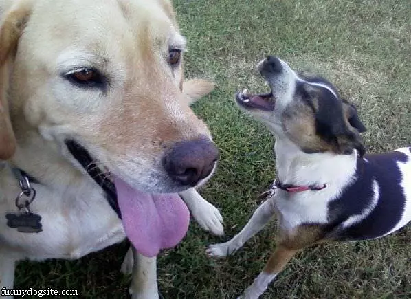 Cody And Abbey
