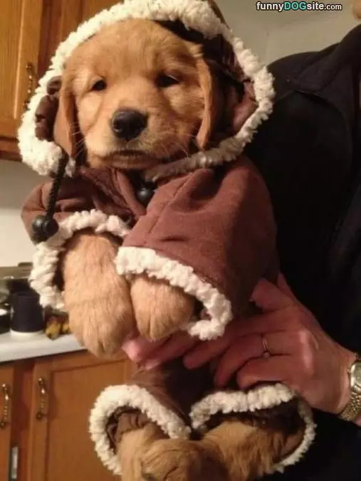 Very Bundled Up