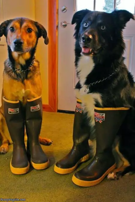 Ready To Go Out In The Rain