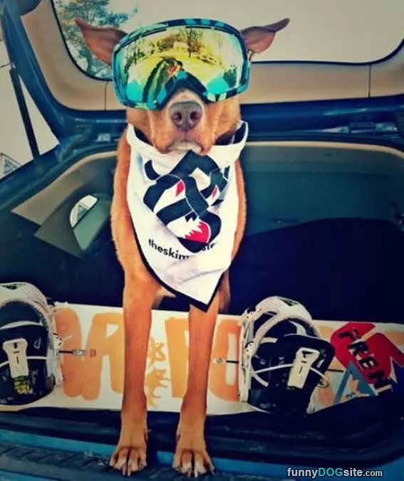 Time For Snowboarding