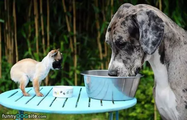 Big And Little