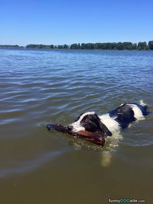 Getting Me A Stick