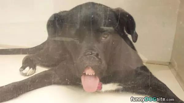 Derppppp