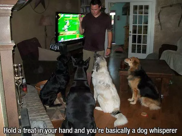 When Holding A Treat