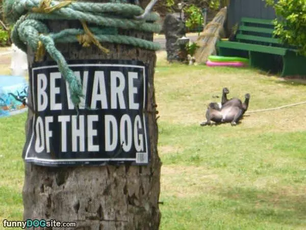 Do Not Come Near While Relaxing