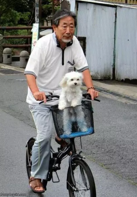 A Bike Ride
