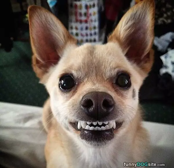 Big Smile