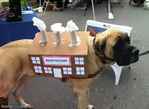 The Poop Factory