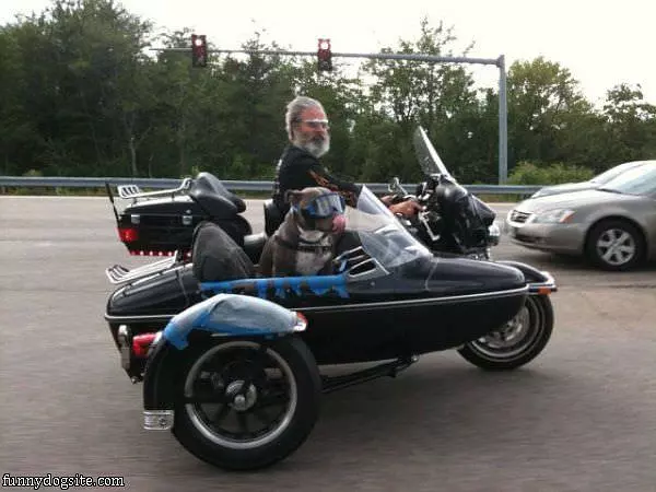Love My Rides
