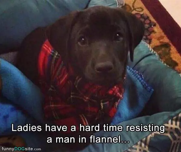 Ladies Have A Hard Time Resisting