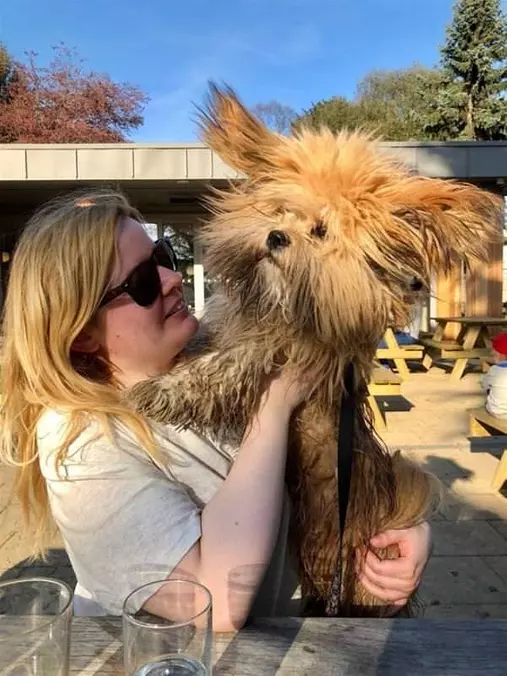 I Am Sooooo Fluffy