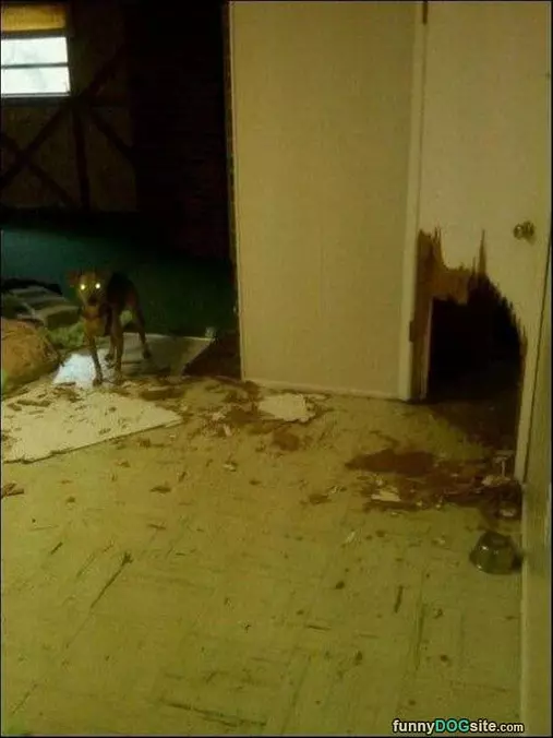 I Made A New Door