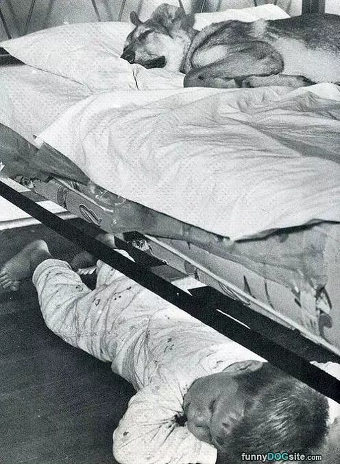 You Had The Bed Last Night