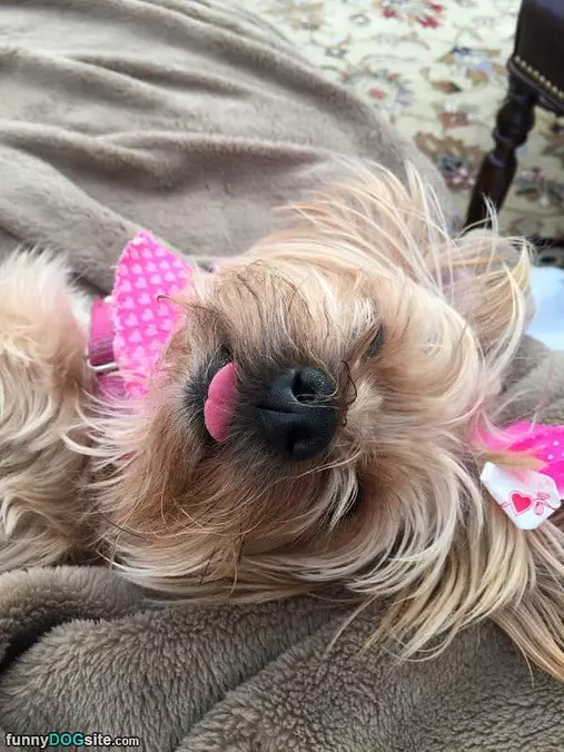 Hanging Out All Cool