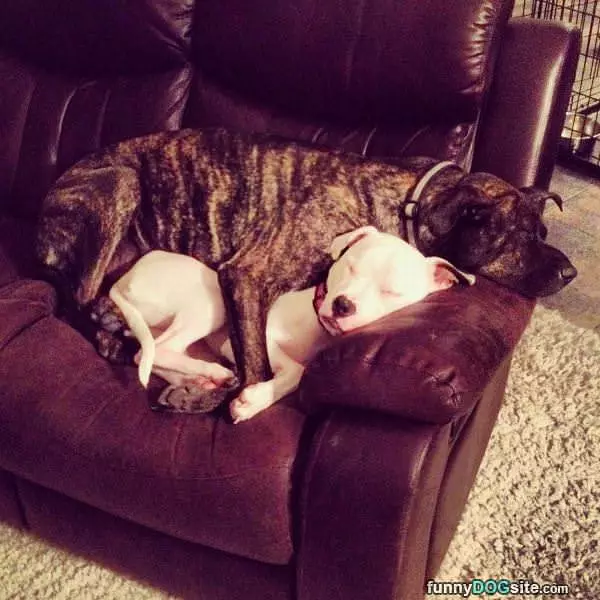 Tucked In Together