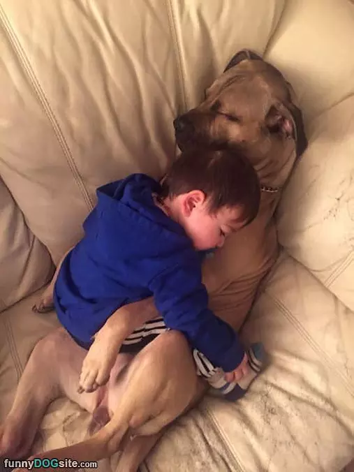 Both Taking A Nap