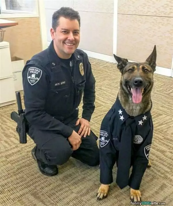 The Police Dog