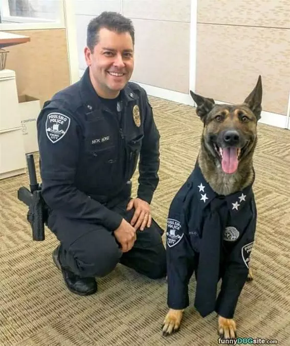 The Police Dog