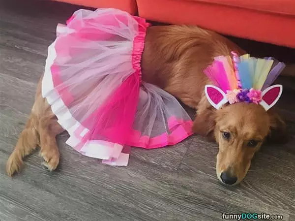 A Princess