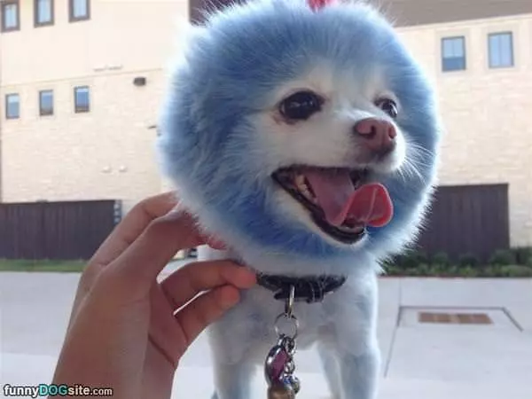 Blue Face