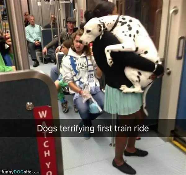 Not A Fan Of This Train Ride