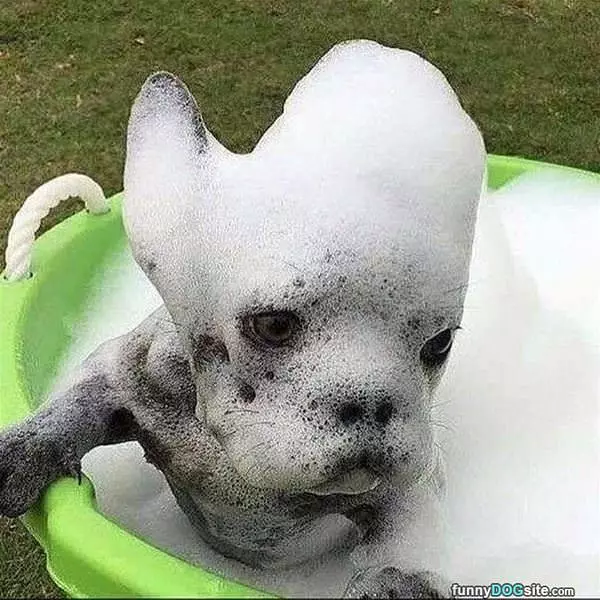 They Call Me Bubbles