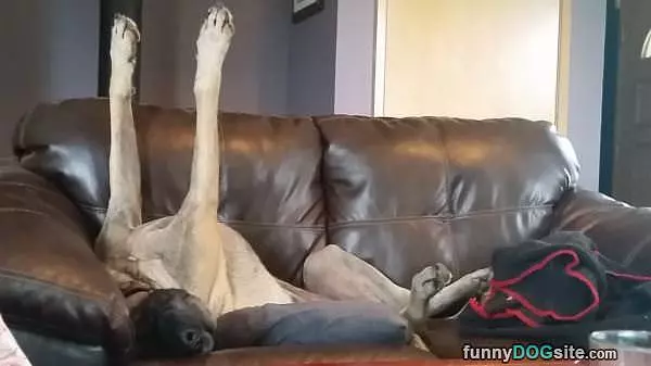 Hands Up While I Sleep