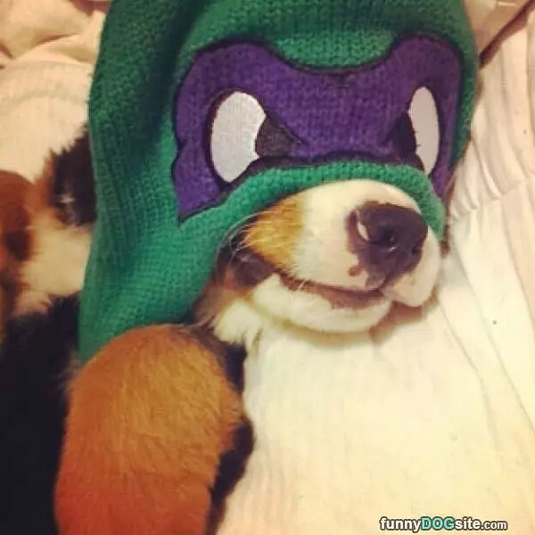 I Am A Robber