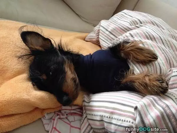Tucked In Nice