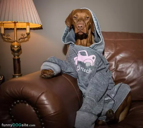 My Big Sweatshirt