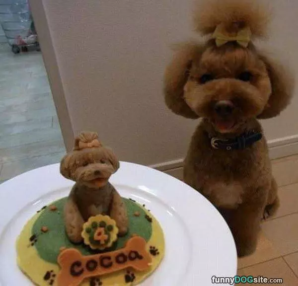 Looks Just Like Me