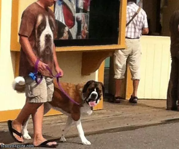 Nice Dog Shirt