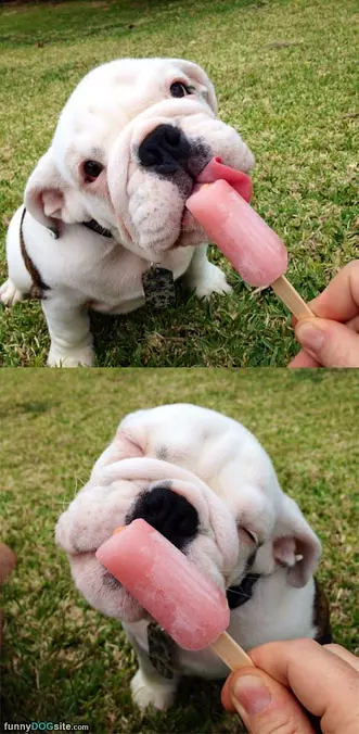 This Is So Yummy