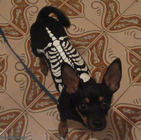 Skelaton Costume
