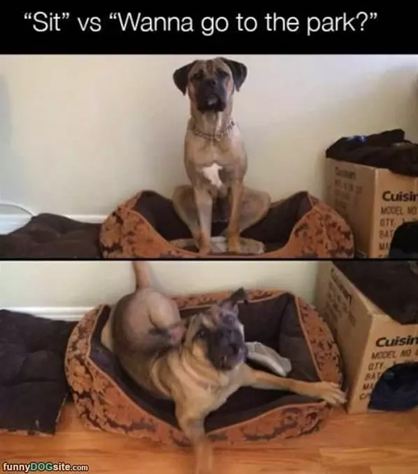 Go To The Park