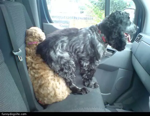 Jakey Sitting On Meg