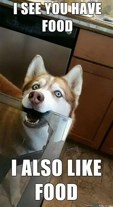I See You Have Food
