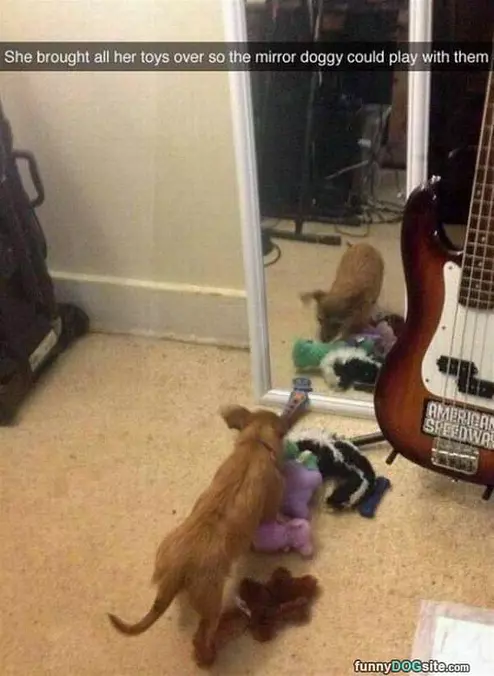 All Her Toys