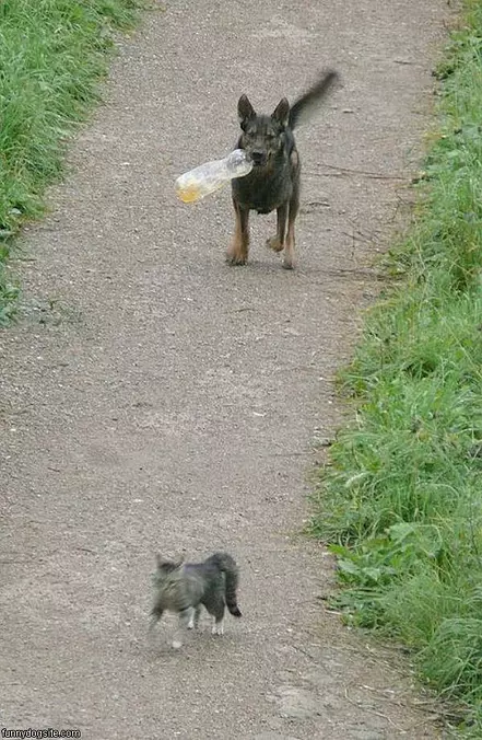 Got A Bottle