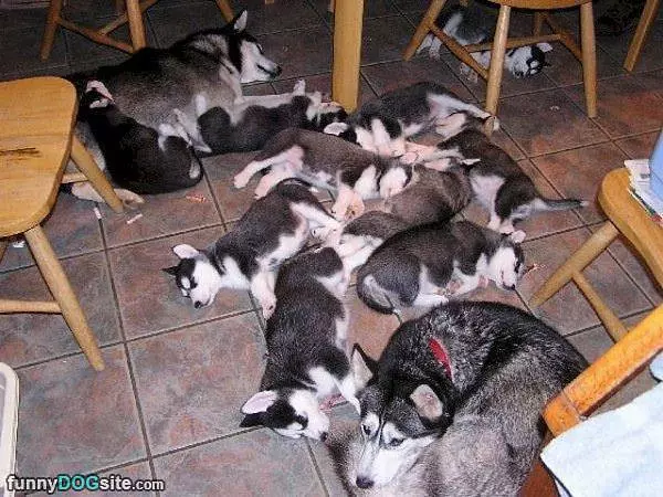 Everyone Is Sleeping