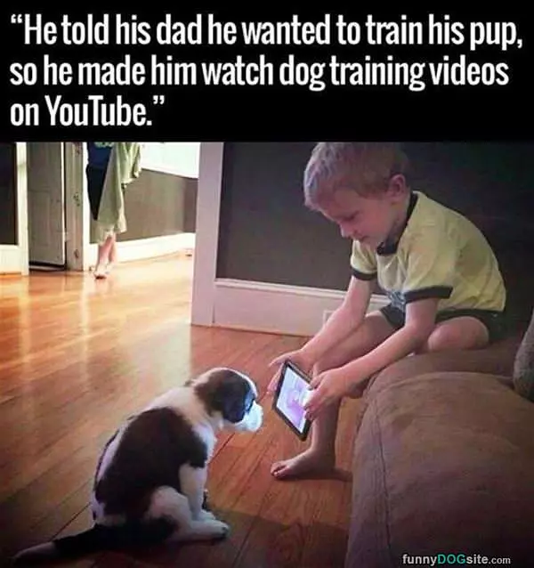 Dog Training Videos