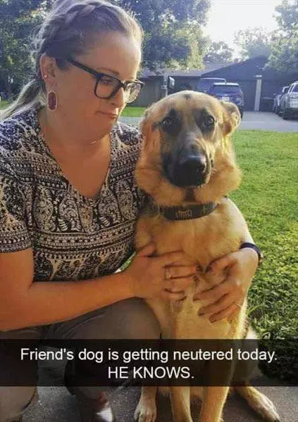 He Knows