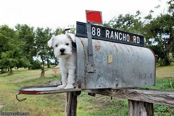 Mail