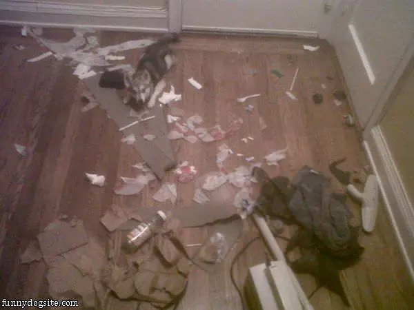 It Wasnt Me