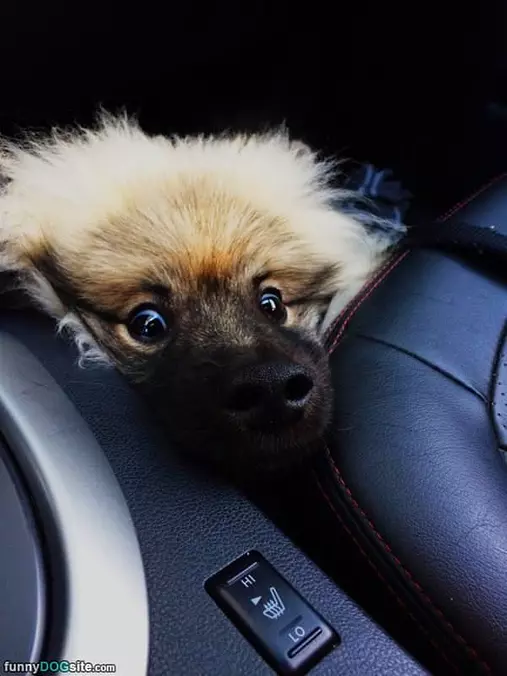 Did You Say Snacks