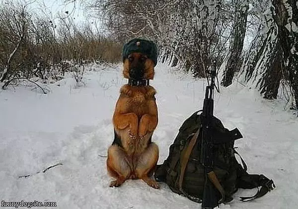 Sitting And Waiting