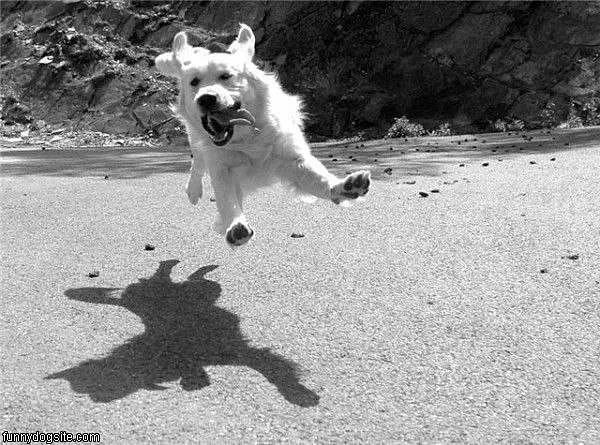 Believes He Can Fly